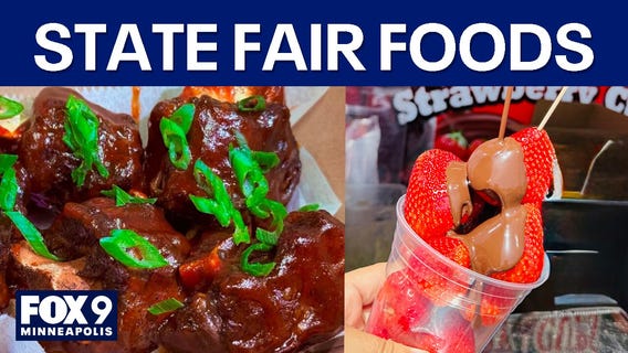 Minnesota State Fair new foods for 2025