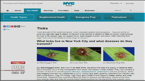 Ticks in New York