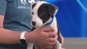 FOX 9 Good Day: July 14, 2025