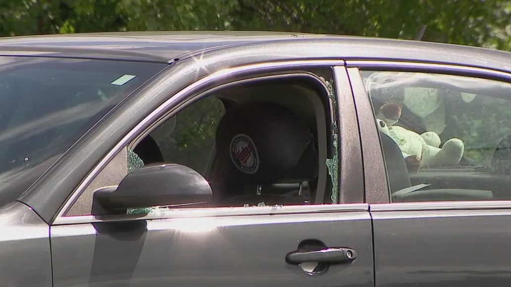 Car window vandals sought by police