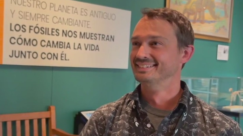 All about the MN State Fossil