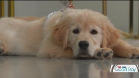 FOX 9 Good Day: July 31, 2025