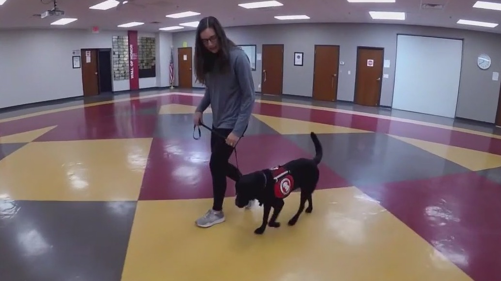 Minnesota?s new laws: What you need to know