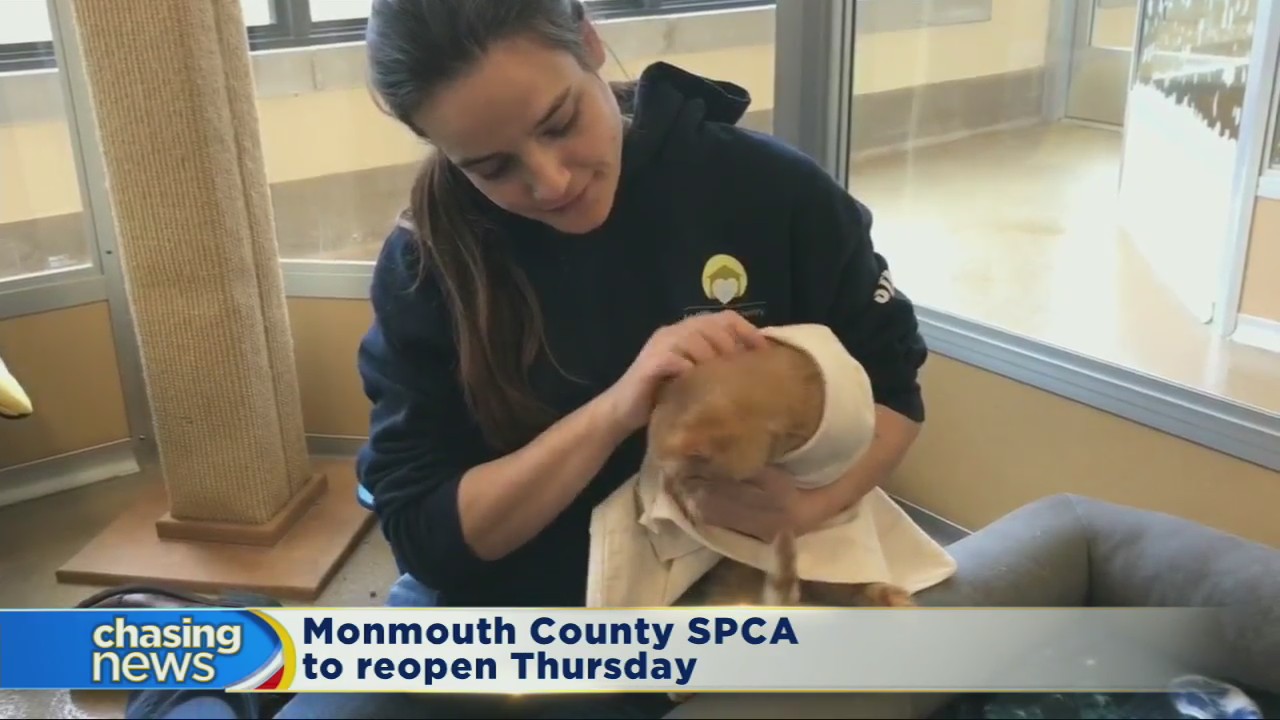 Animal shelter ready to reopen after dog flu outbreak