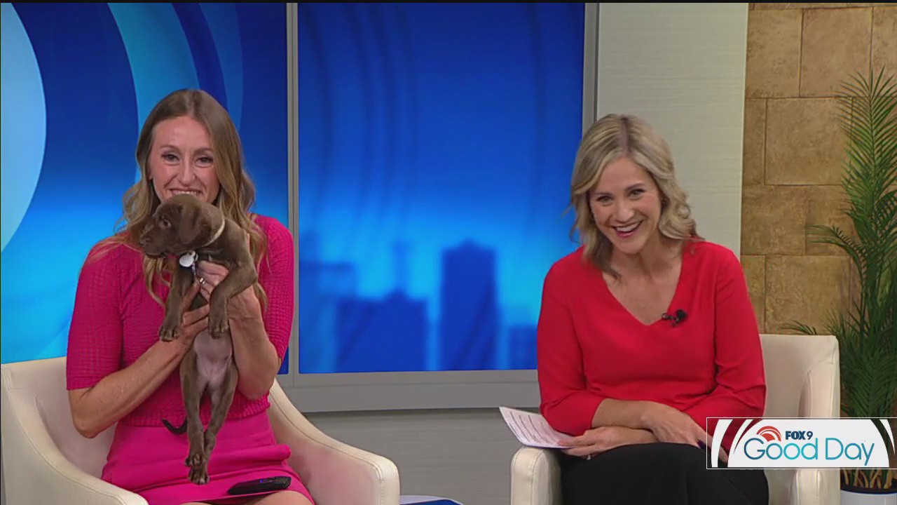 FOX 9 Good Day: Aug. 4, 2025