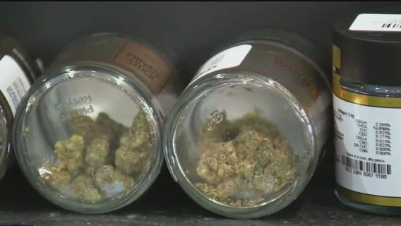 Government dealer? Minnesota cities line up to retail cannabis