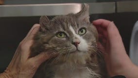 Pet of the Weekend: Meet Nom Nom!