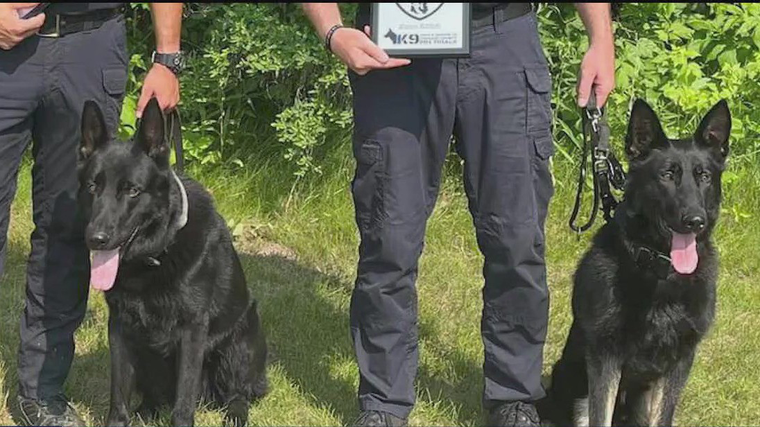 Minnesota prisons getting rid of most K-9 teams in ?budget decision?