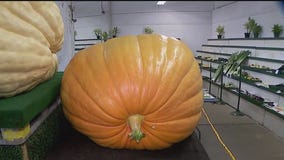 FOX 9 Good Day: Aug. 21, 2025