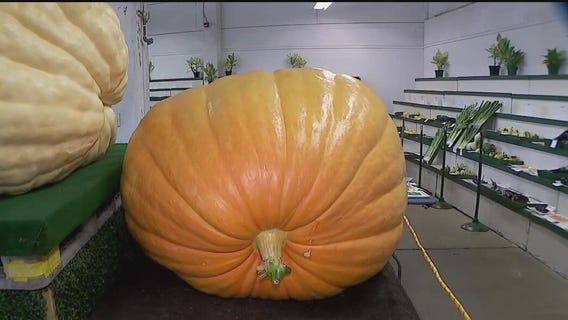 FOX 9 Good Day: Aug. 21, 2025