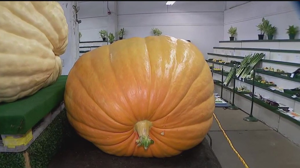 FOX 9 Good Day: Aug. 21, 2025