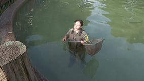 MN State Fair: Stocking the fish pond [FULL]