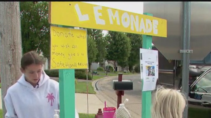 A lemonade stand for rescue animals
