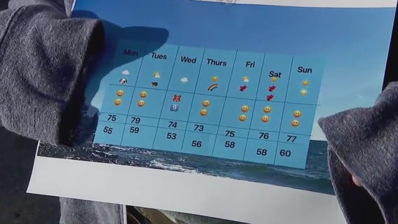 Minnesota weather forecast using emojis