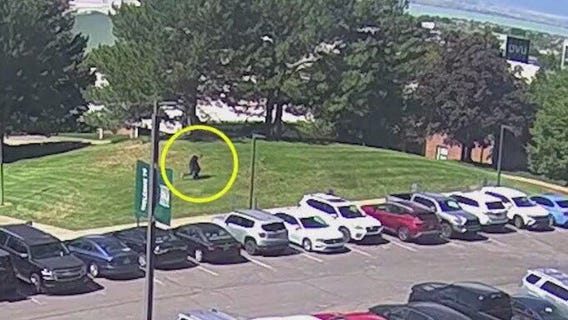 Charlie Kirk shooting: Manhunt continues for assassin