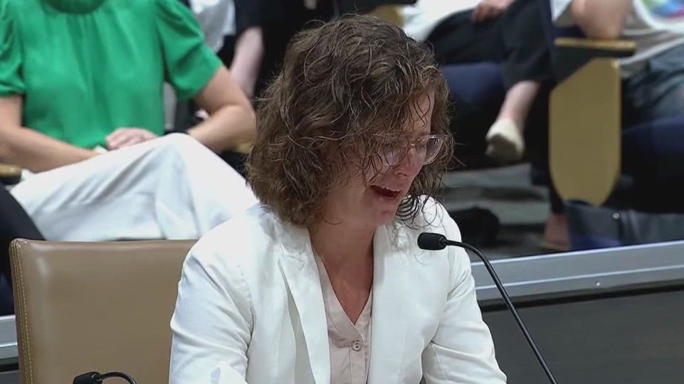 Organizations rally for Minnesota gun control