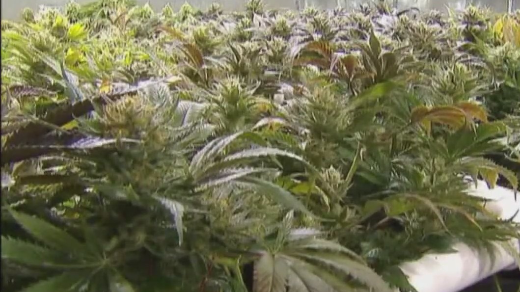 Customers line up as cannabis shops open in metro