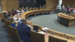 Minnesota lawmakers discuss gun law changes
