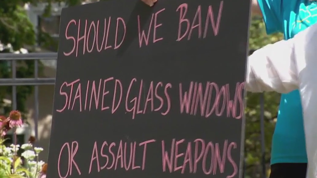 MN gun control special session: Goals, start time unclear