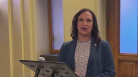 MN lawmakers not on same page on gun control