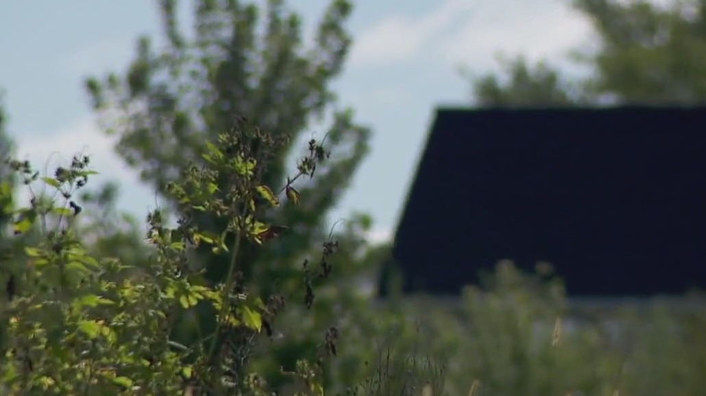 Cryptocurrency crimes becoming more common