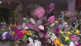 Good Day Austin: Native Bloom