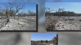 Crews fighting 300-acre fire near Jarrell