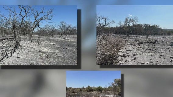 Crews fighting 300-acre fire near Jarrell