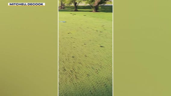 Oak Summit Golf Course in Rochester damaged by vandal