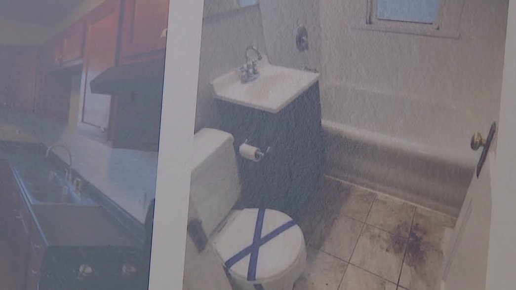 Families owning more of old Havenbrook homes