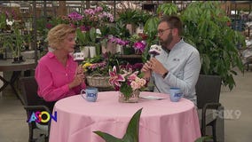 The Jason Show: Oct. 6, 2025