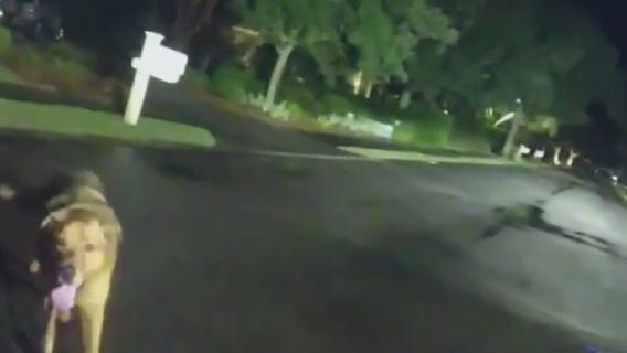 Loyal dog leads deputy to injured woman