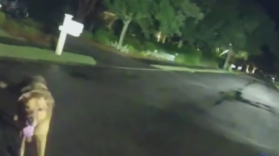 Loyal dog leads deputy to injured woman