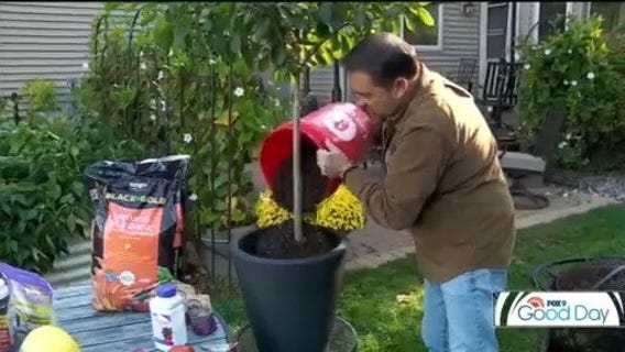 October garden check list