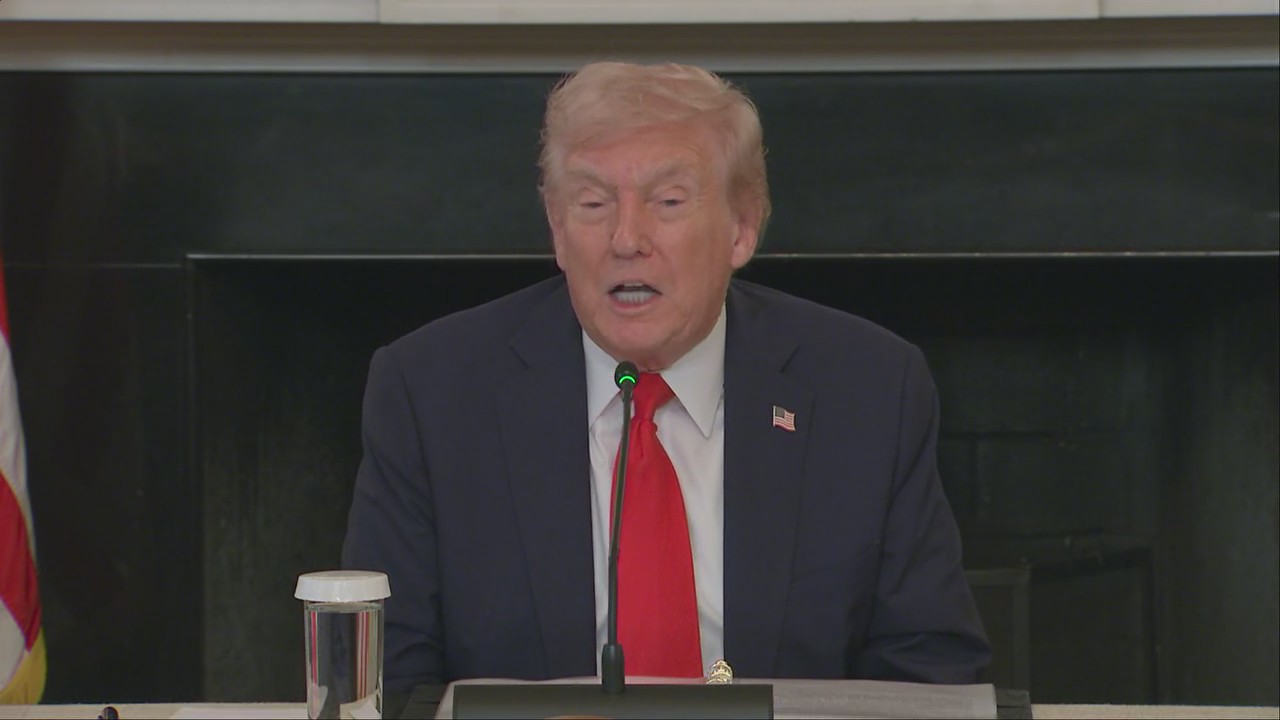 Antifa are ?radical left terrorists?: Trump