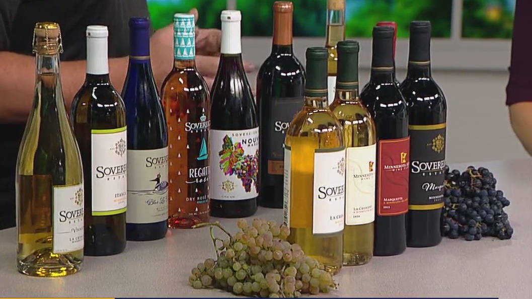 MN wine grape harvest season wrapping up