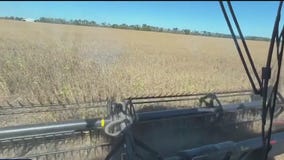 Gov. Walz blasts President Trump over soybean trade policy