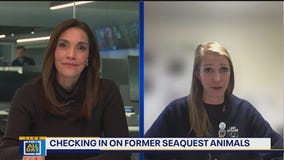 Lake Super Zoo rescues Sea Quest animals