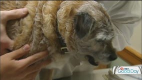 FOX 9 Good Day: Oct. 10, 2025