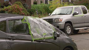 Another car break-in spree in Minneapolis