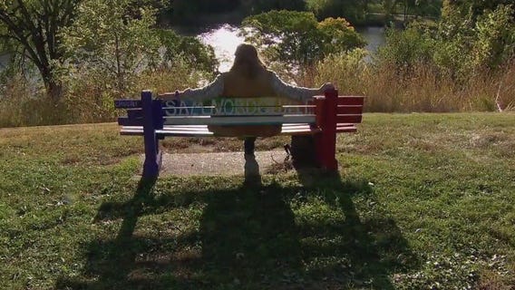 Celebrating Minneapolis park benches