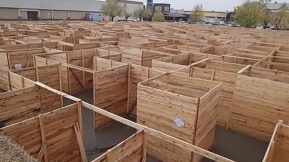 Fargo wooden maze breaks Guinness World Record