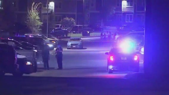 Domestic violence near record highs: report