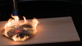 Cocktail, agave tasting experiences at Verdad