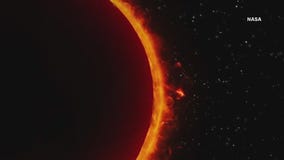 Solar eclipse 2024: Last minute plans