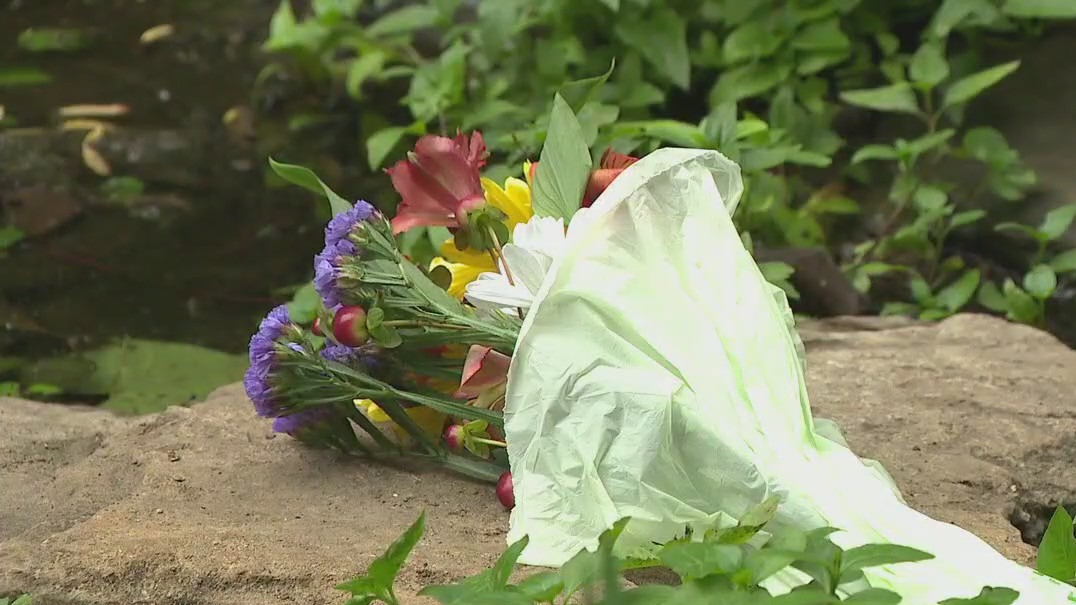 Dozens of dogs found dead in Austin creek