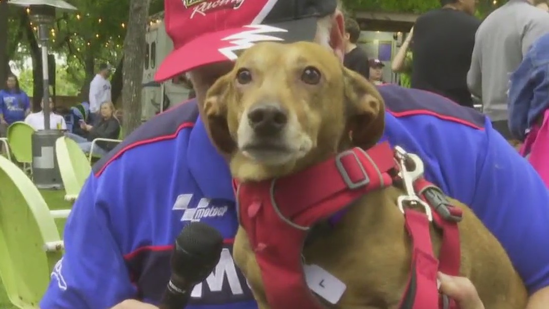 Third annual Wiener Dog Derby comes to Austin