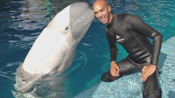 SeaWorld: Becoming a trainer