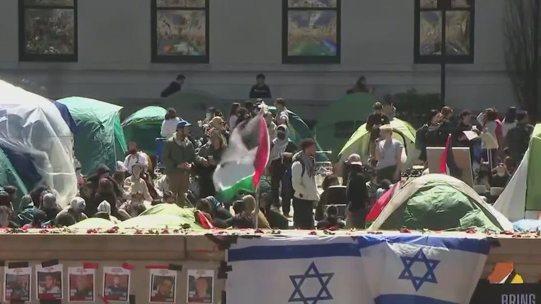 Hundreds arrested at campus protests all over