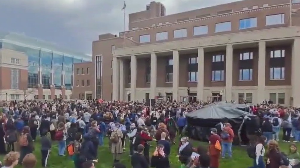 Palestine college rallies: GOP wants action